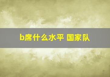 b席什么水平 国家队